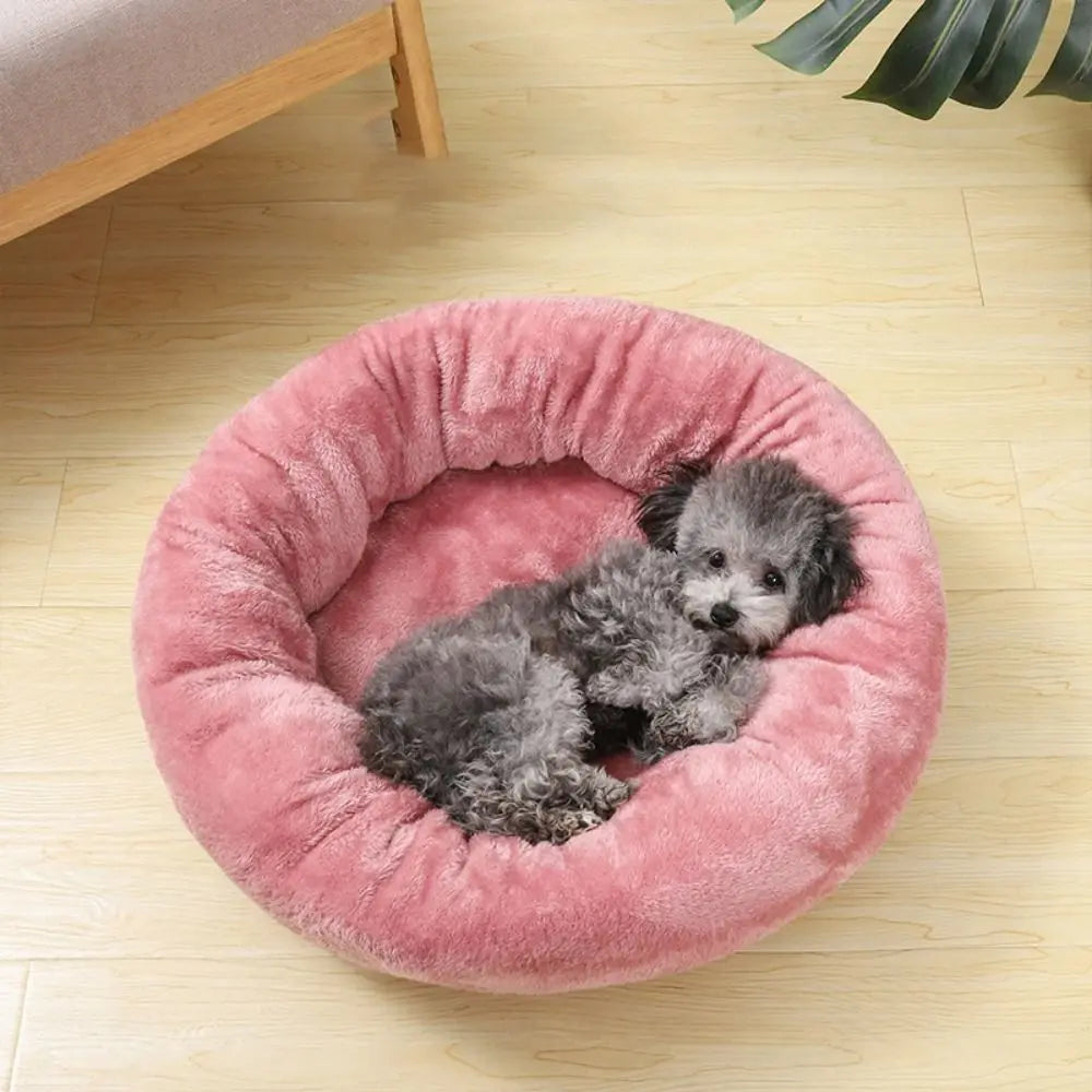 Donut Hundebett – Geborgenheit & Komfort für deinen Liebling 🐾