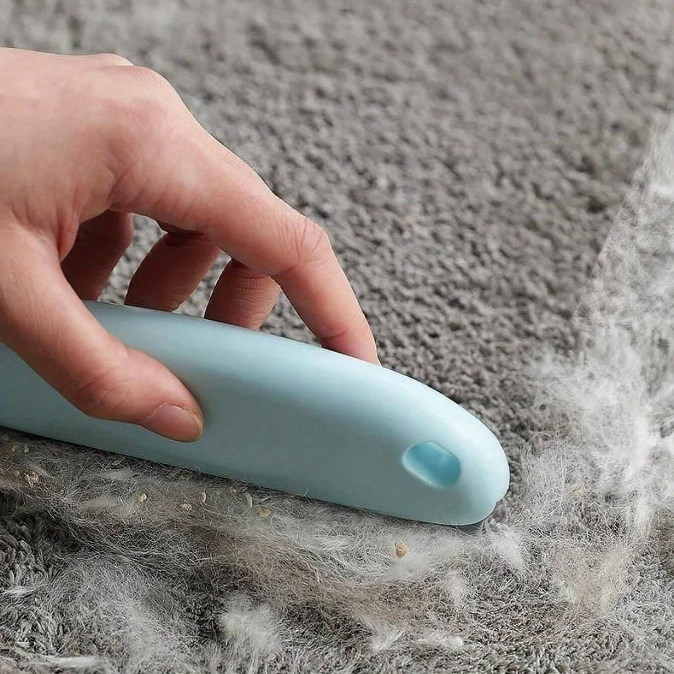 Lint Roller (Tierhaarentferner)