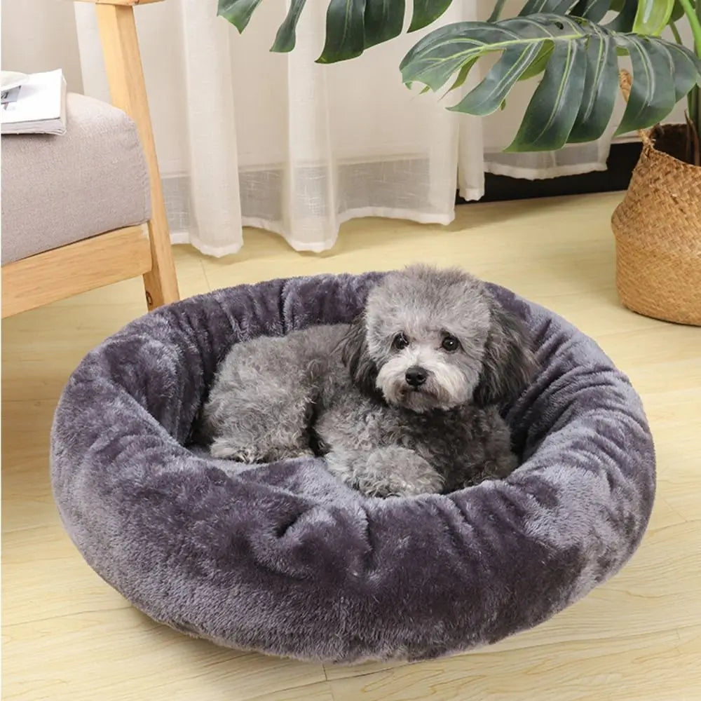Donut Hundebett – Geborgenheit & Komfort für deinen Liebling 🐾